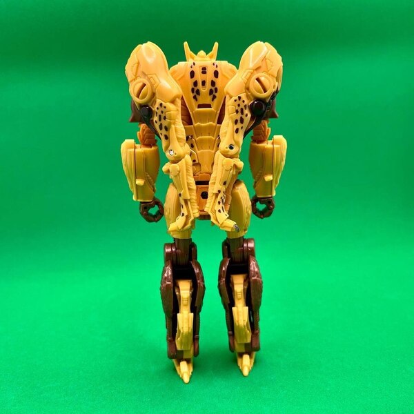 Robot Mode Image Of Transformers  Rise Of The Beasts Cheetor Toy  (6 of 31)
