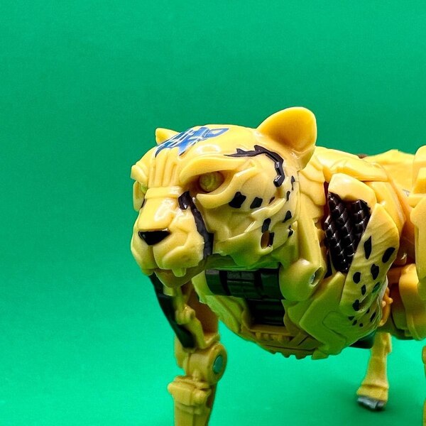 Robot Mode Image Of Transformers  Rise Of The Beasts Cheetor Toy  (9 of 31)
