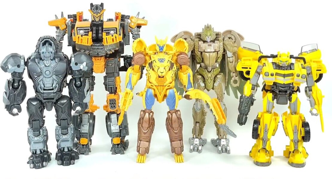 5 of 31