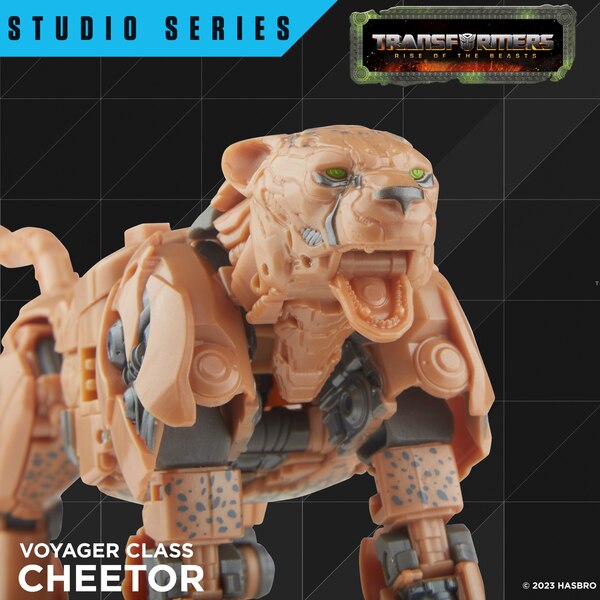 Official Image  Of Transformers Rise Of The Beasts Studio Series Cheetor Toy  (11 of 13)