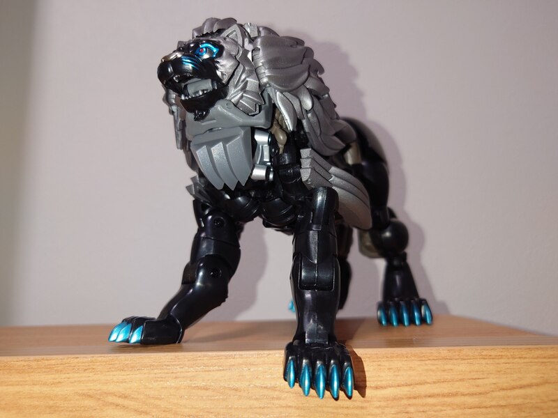 6 of 9