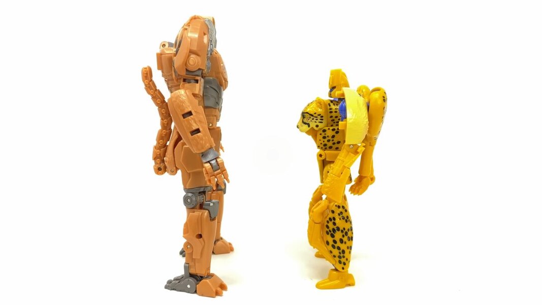In Hand Image Of Studio Series Rise Of The Beasts 98 Cheetor  (26 of 51)