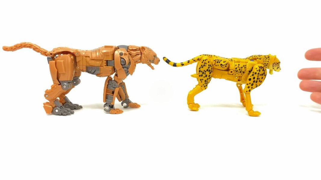 In Hand Image Of Studio Series Rise Of The Beasts 98 Cheetor  (38 of 51)