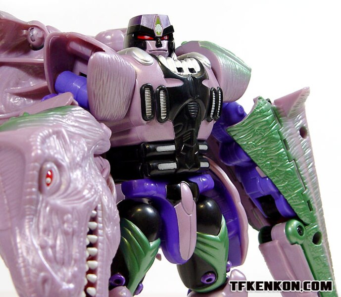 Daily Prime   Beast Wars 10th Anniversary Premium Finished Versus Sets  (14 of 49)