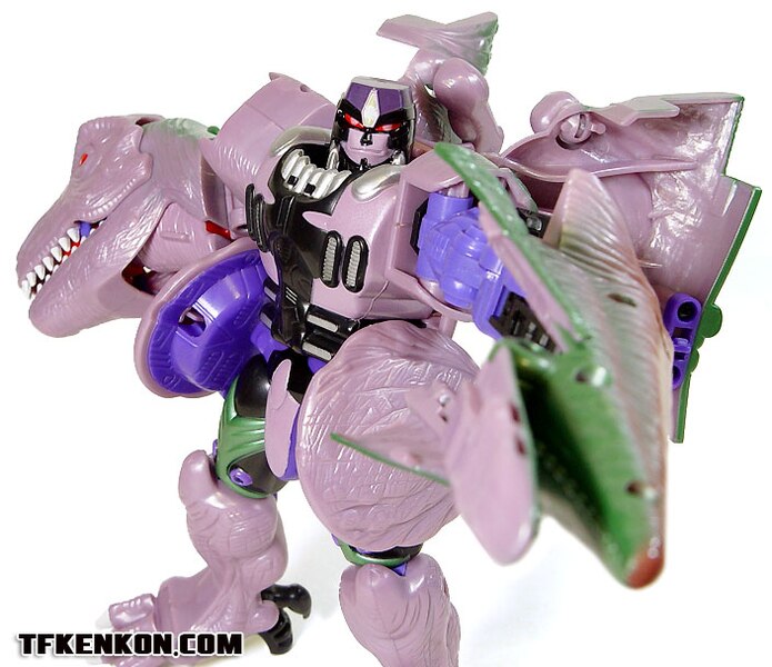 Daily Prime   Beast Wars 10th Anniversary Premium Finished Versus Sets  (18 of 49)