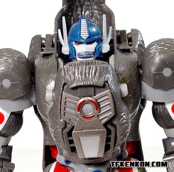 Daily Prime   Beast Wars 10th Anniversary Premium Finished Versus Sets  (24 of 49)