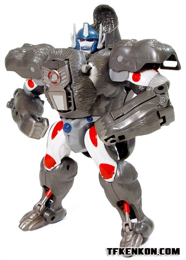 Daily Prime   Beast Wars 10th Anniversary Premium Finished Versus Sets  (27 of 49)