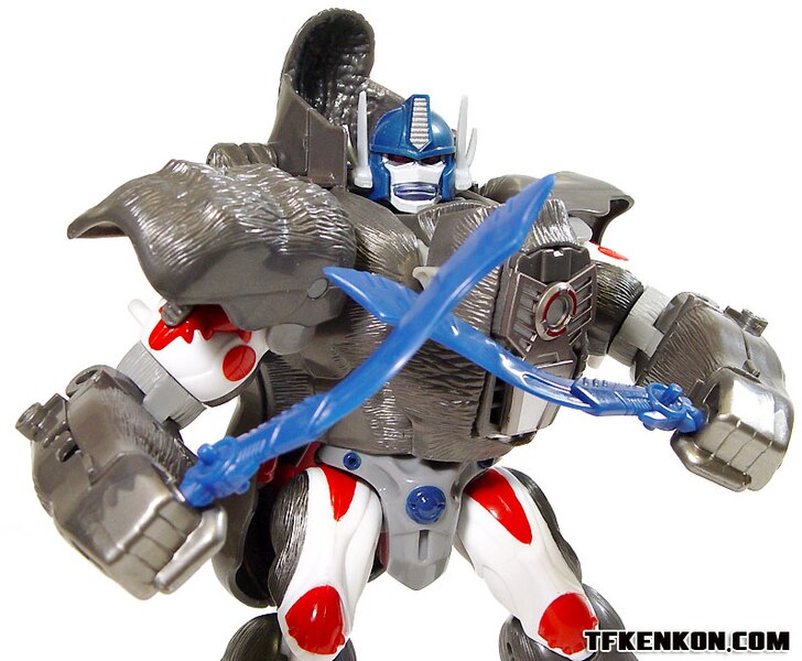Daily Prime   Beast Wars 10th Anniversary Premium Finished Versus Sets  (29 of 49)