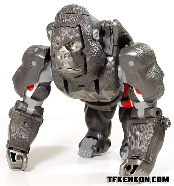 Daily Prime   Beast Wars 10th Anniversary Premium Finished Versus Sets  (34 of 49)