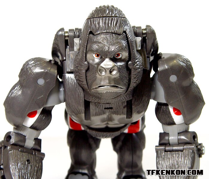 Daily Prime   Beast Wars 10th Anniversary Premium Finished Versus Sets  (35 of 49)