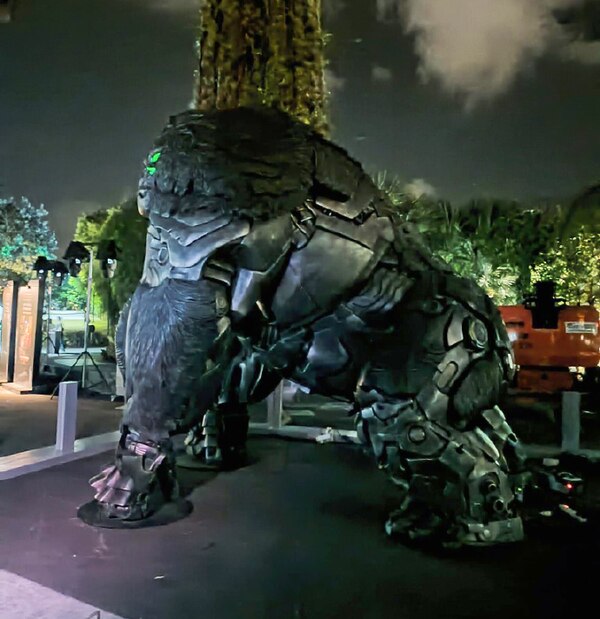 Rise Of The Beasts Statues Singapore, Toys Diorama, Sketchers Image  (22 of 22)