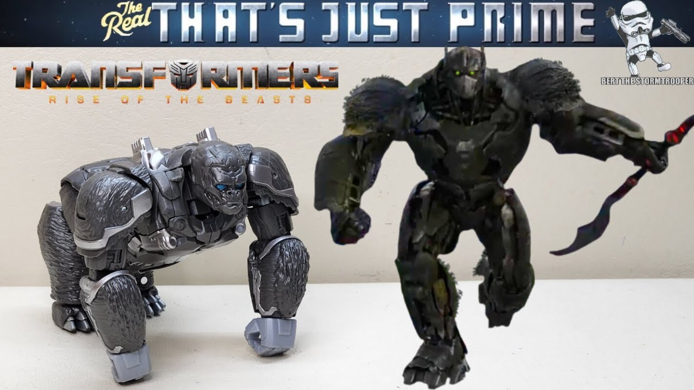 Rise Of The Beasts Voyager Optimus Primal! Review 