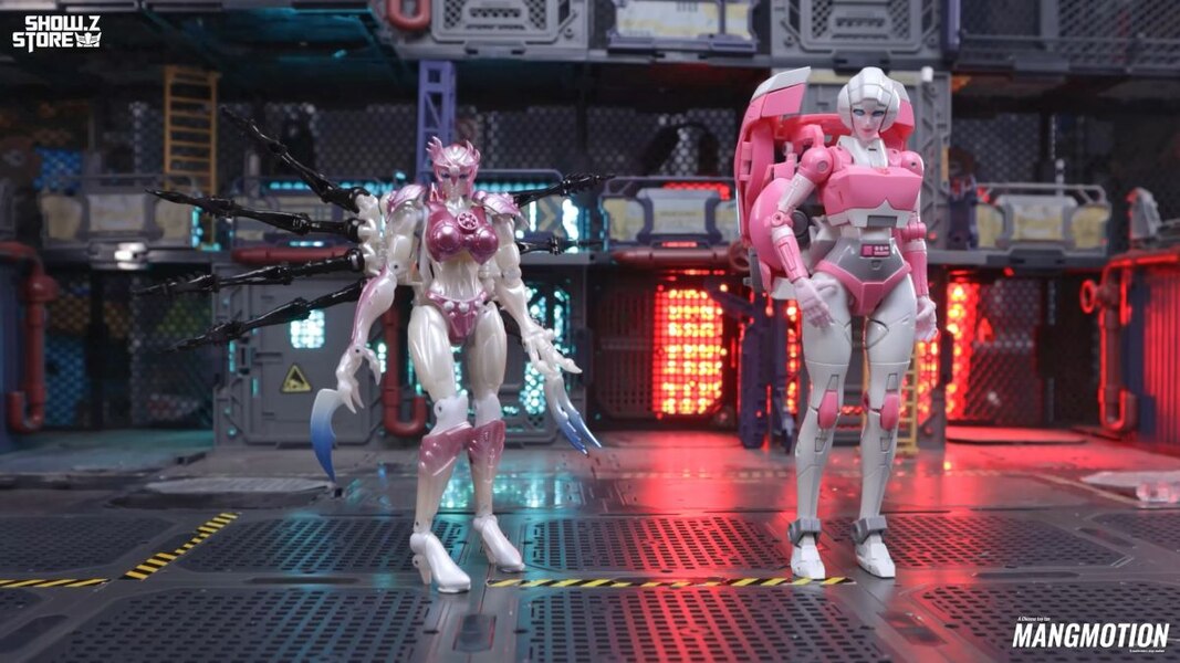 Image Of BWM 08P Blackwidow Botcon 2001 Arcee Edition  From TransArt Toys  (19 of 27)