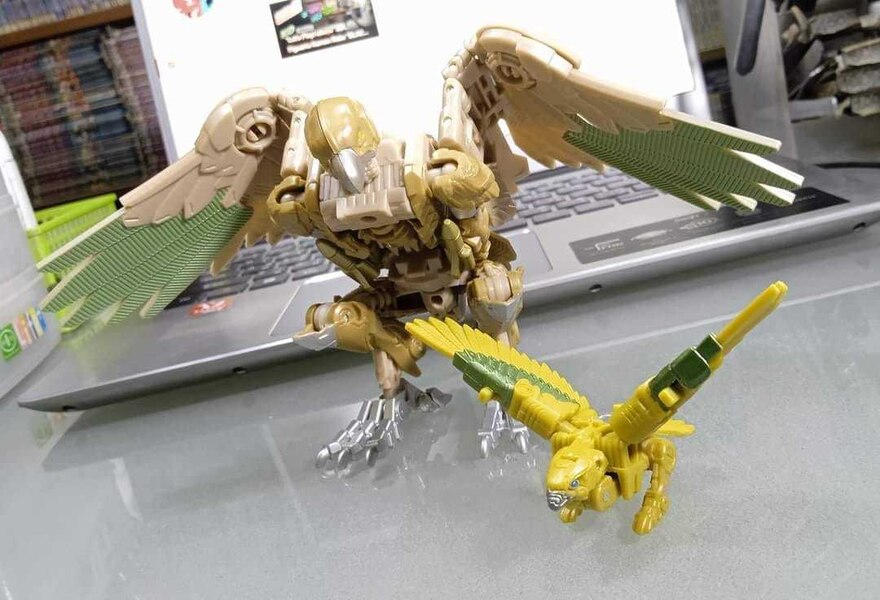 Image Of Airazor Battle Master From Transformers Rise Of The Beasts  (4 of 6)