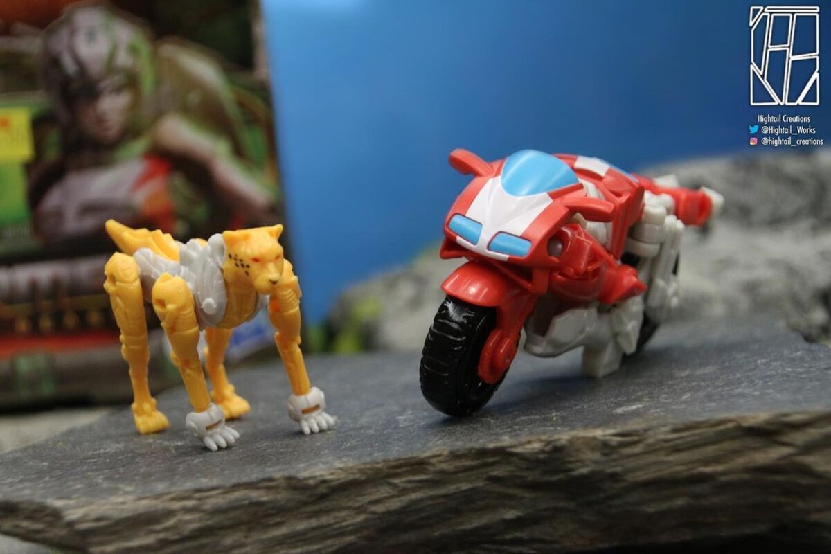 Arcee & Cheetor Weaponizers 2-Pack In-Hand Images & Video for Rise of The  Beasts