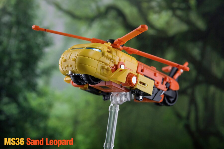 Dr WU Sand Leopard Toy Photography Image Gallery By IAMNOFIRE  (1 of 18)