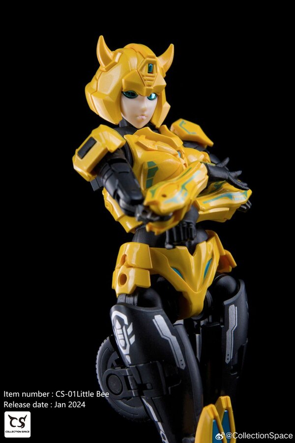 Image Of Collection Space Transformation Ex Machina CS 01 Little Bee  (5 of 18)