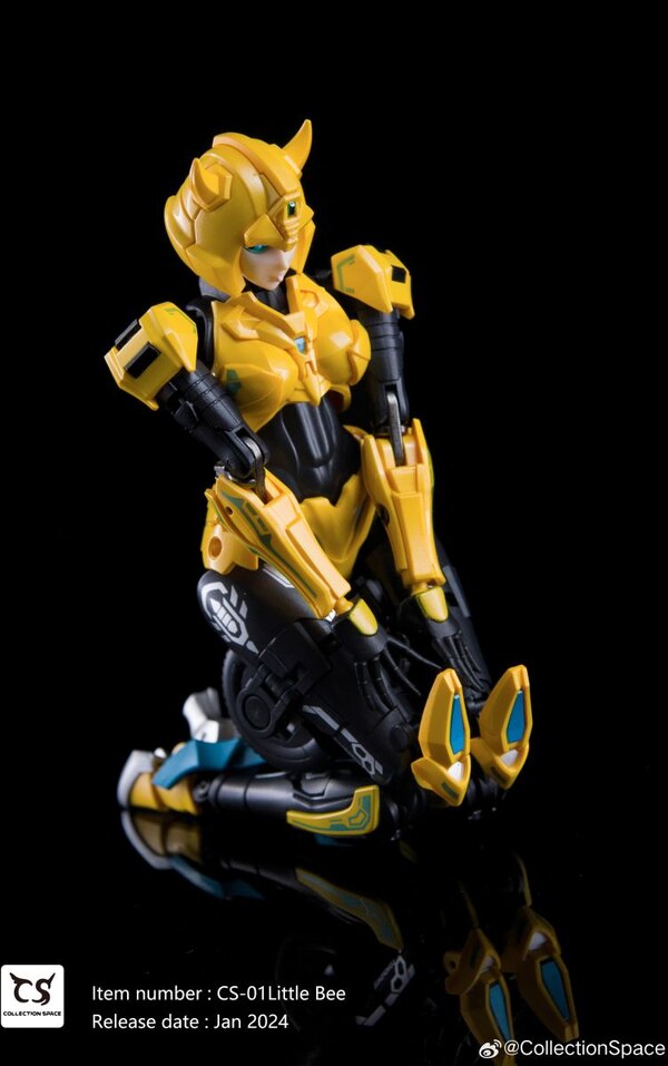 Image Of Collection Space Transformation Ex Machina CS 01 Little Bee  (13 of 18)