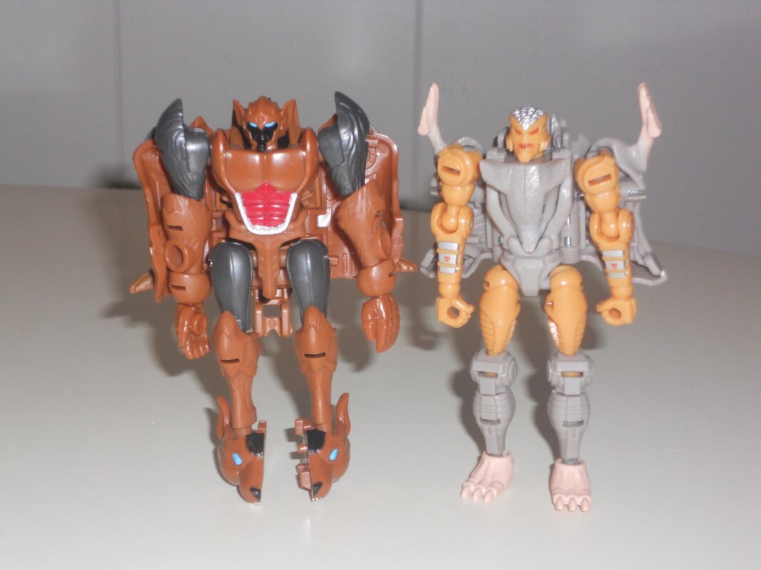 Core Class Tasmania Kid In-Hand Images from Transformers Legacy United
