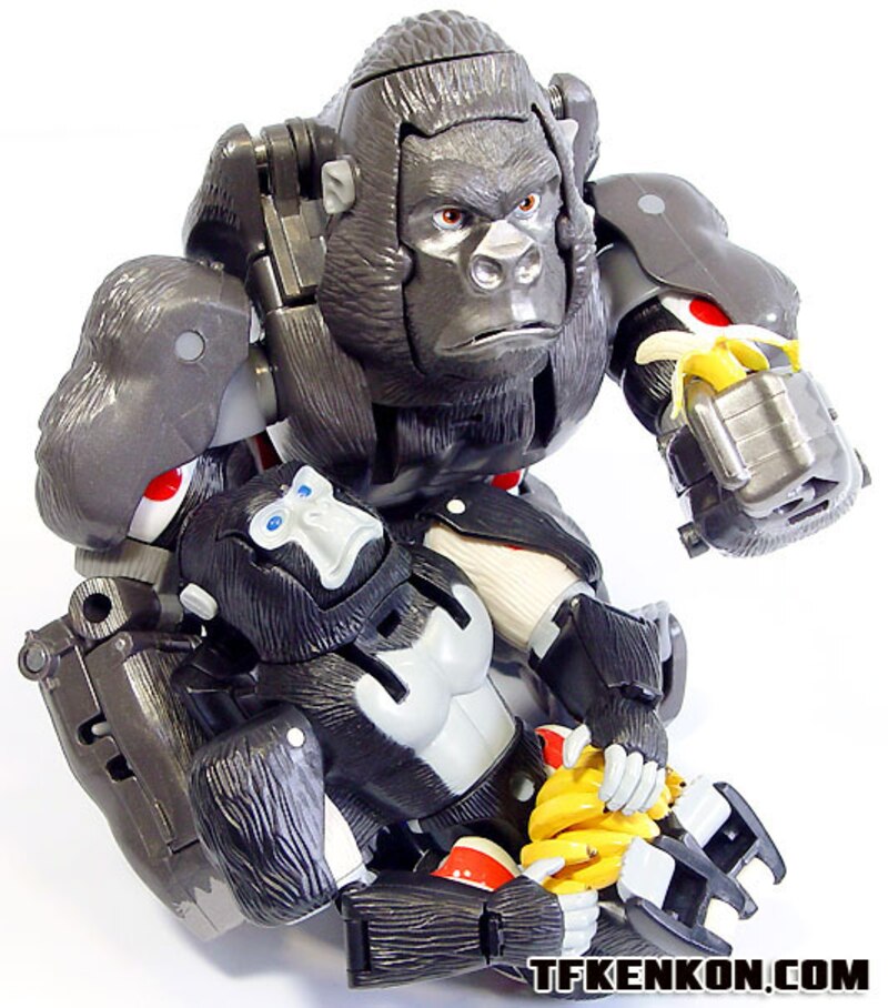 Daily Prime - Premium Finished Beast Wars Reborn BWR-01 Optimus Primal