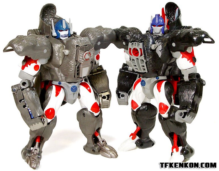 Image Of Takara Transformers Beast Wars Reborn BWR 01 Optimus Primal  (26 of 33)