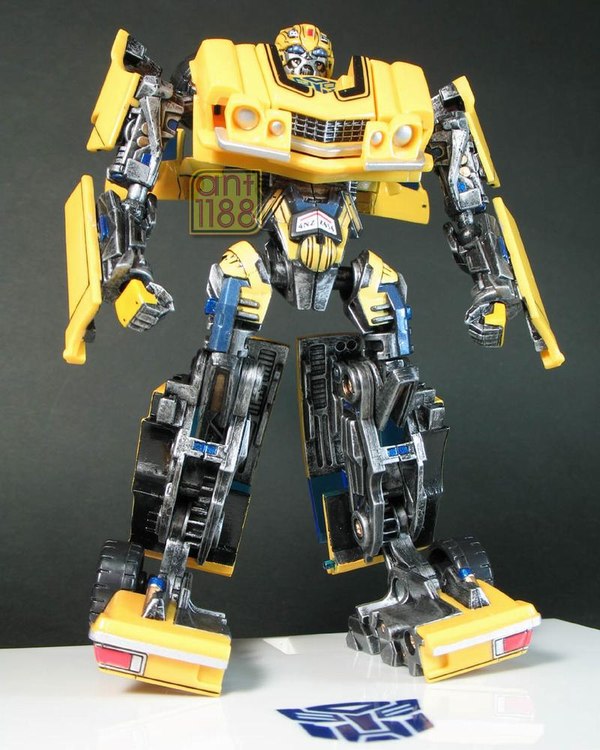 Bumblebee 01 Eb (1 of 55)