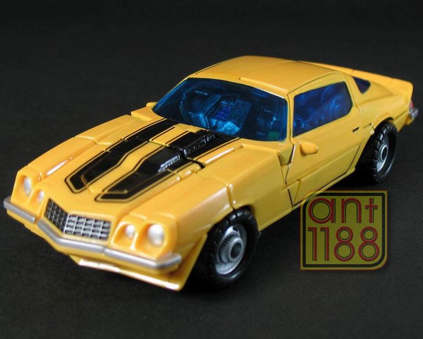 Bumblebee 11 Eb (11 of 54)