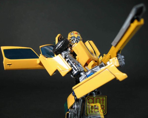 Bumblebee 28 Eb (28 of 55)