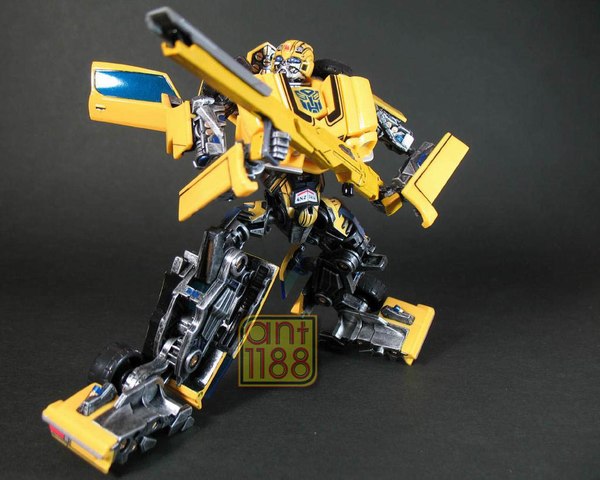 Bumblebee 29 Eb (29 of 55)