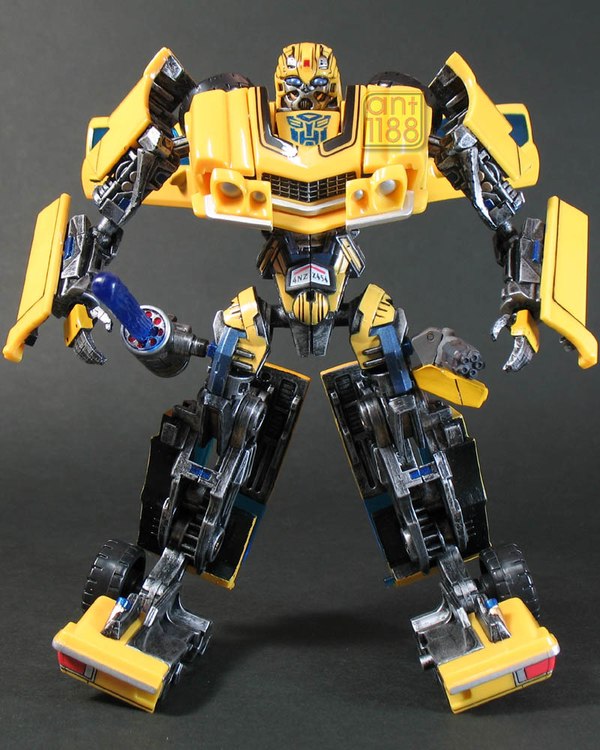 Bumblebee 50 Eb (49 of 54)