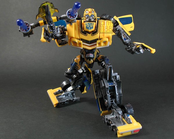 Bumblebee 52 Eb (51 of 55)