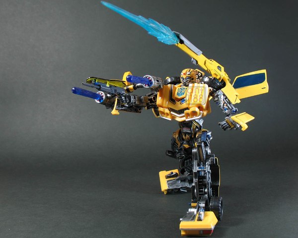 Bumblebee 55 Eb (54 of 55)