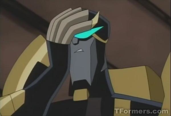 transformers animated survival of the fittest