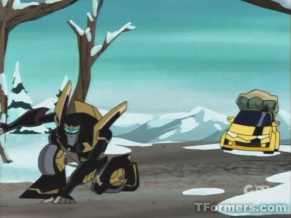 Transformers Animated 114 Nature Calls 0128 (39 of 231)