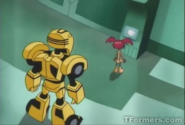 Transformers Animated 117 The Elite Guard 238 (239 of 240)